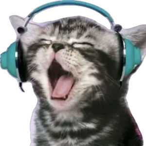 Meet your Posher, Tony